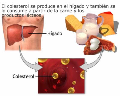 Fast Food Effects on Effects Of Fast Food High Cholesterol In Meat Containing Fast Food Is